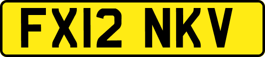 FX12NKV
