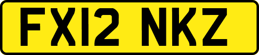 FX12NKZ