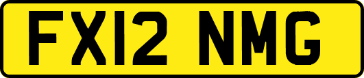 FX12NMG