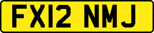FX12NMJ