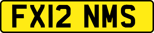 FX12NMS