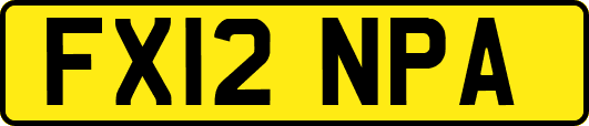 FX12NPA