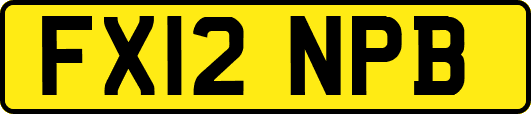 FX12NPB