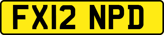 FX12NPD