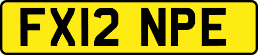 FX12NPE