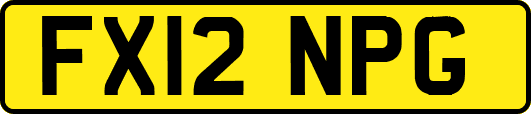 FX12NPG