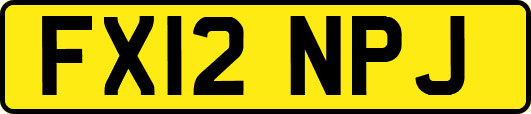 FX12NPJ