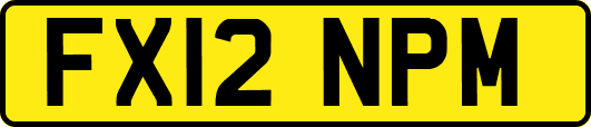 FX12NPM