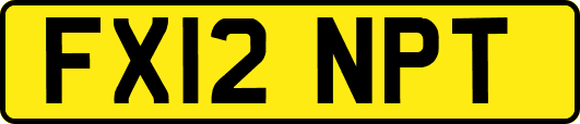 FX12NPT