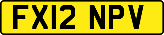 FX12NPV
