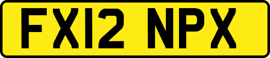 FX12NPX
