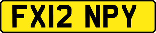 FX12NPY