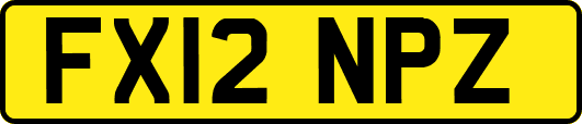 FX12NPZ