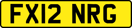 FX12NRG