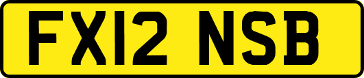 FX12NSB