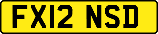 FX12NSD