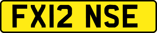 FX12NSE