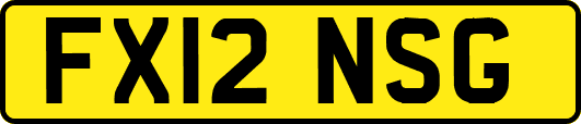 FX12NSG