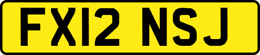 FX12NSJ