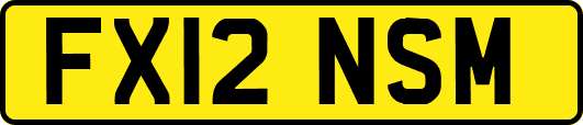 FX12NSM