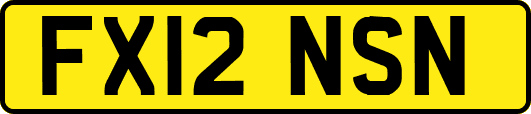 FX12NSN