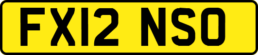 FX12NSO