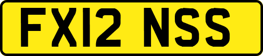 FX12NSS