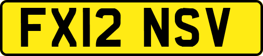 FX12NSV