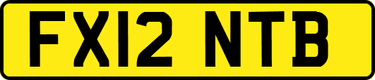 FX12NTB
