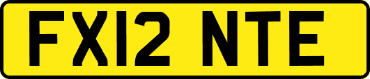 FX12NTE