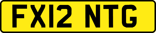 FX12NTG