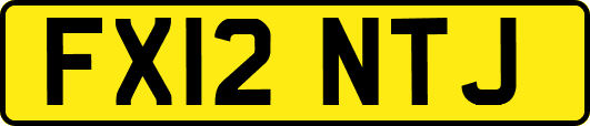 FX12NTJ