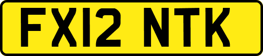 FX12NTK