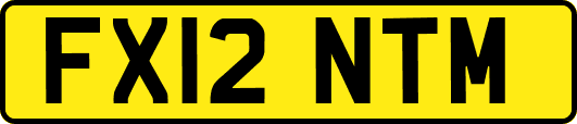 FX12NTM