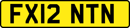 FX12NTN