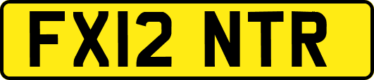 FX12NTR