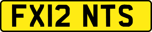 FX12NTS
