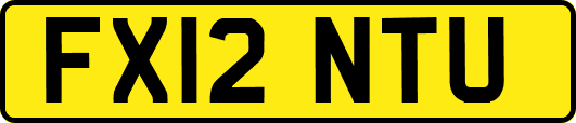 FX12NTU