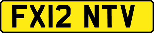 FX12NTV