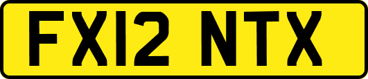 FX12NTX