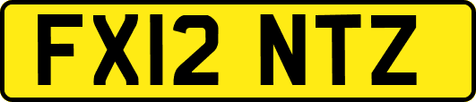 FX12NTZ