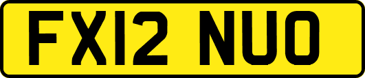 FX12NUO