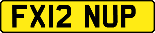 FX12NUP