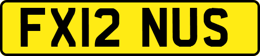 FX12NUS