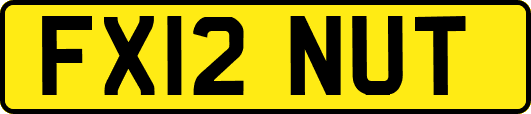 FX12NUT