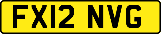 FX12NVG