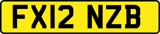 FX12NZB