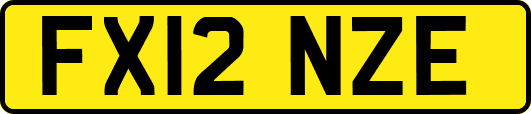 FX12NZE