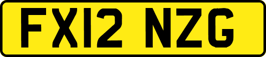 FX12NZG