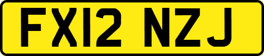 FX12NZJ